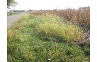 Property photo 5 - 65+/- Acres Offered in 2 Tracts